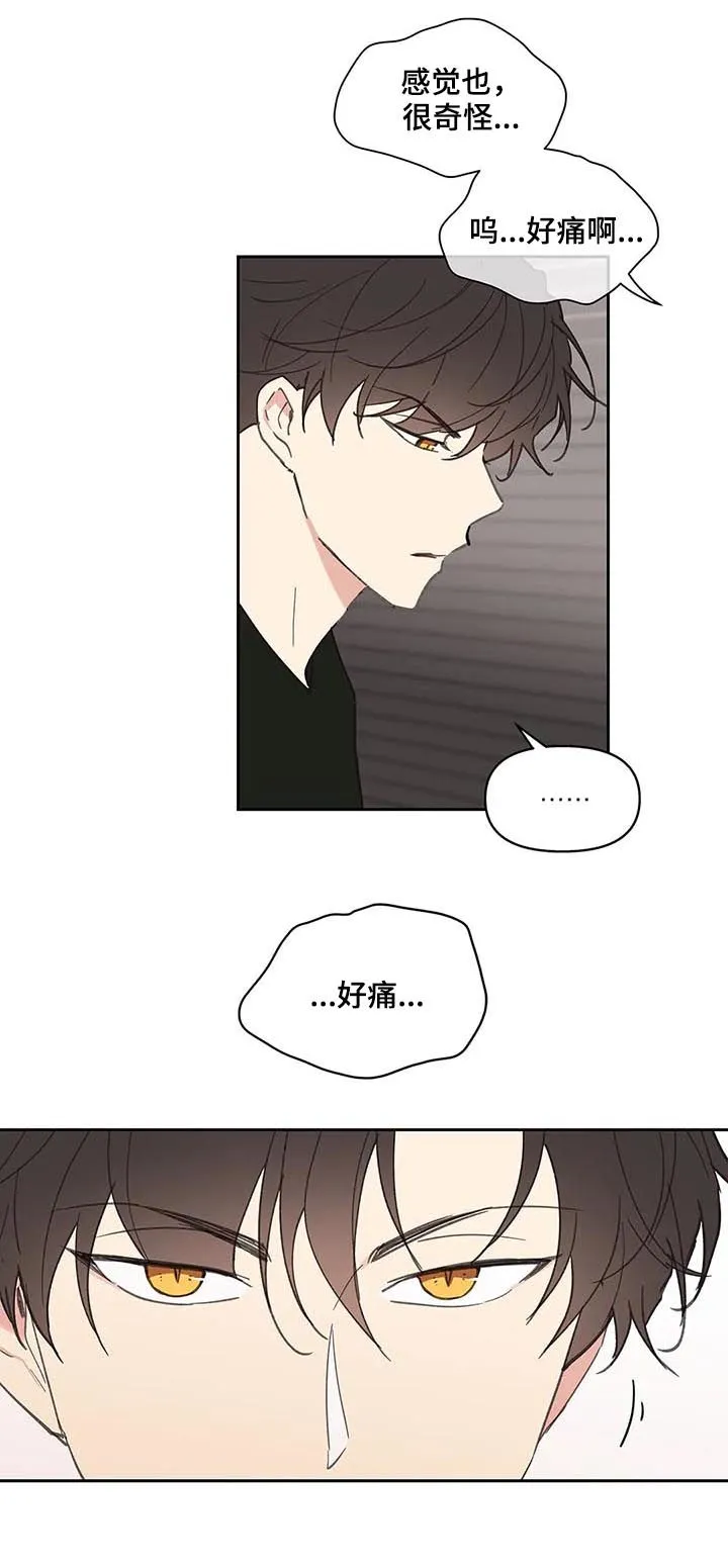 有一部漫画叫什么学院漫画,第65章：你需要的13图