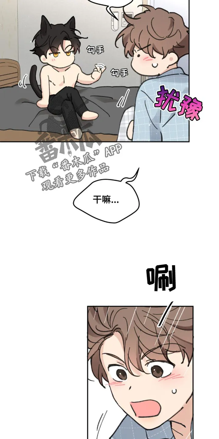 学院代表漫画漫画,第169章：【番外】小猫16图