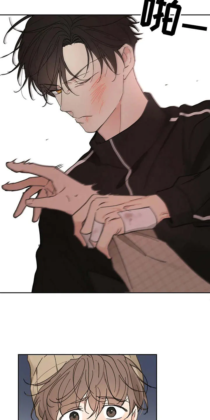 学院代表漫画漫画,第142章：【番外】想要挽回6图