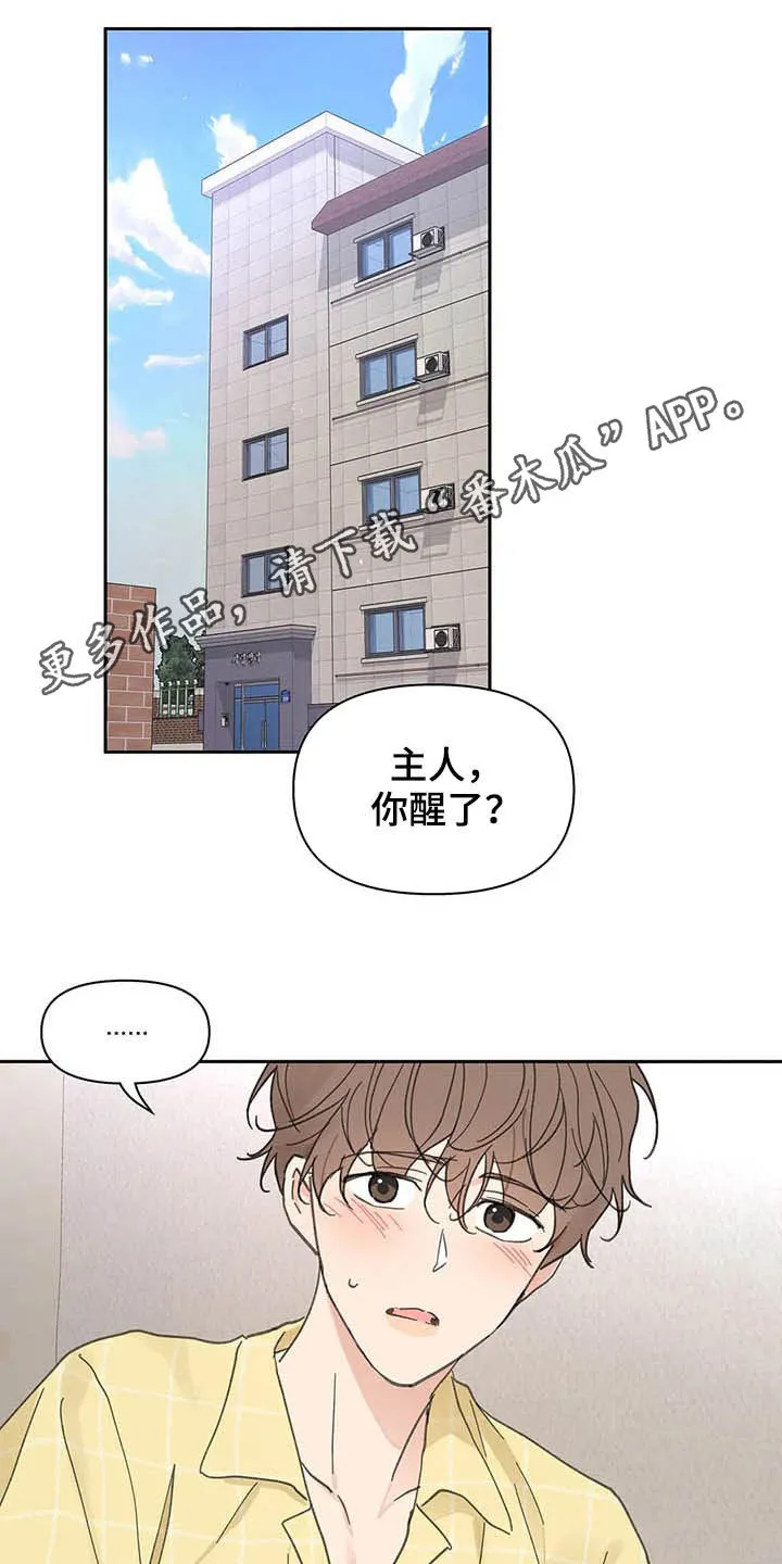有一部漫画叫什么学院漫画,第139章：【番外】重拳1图