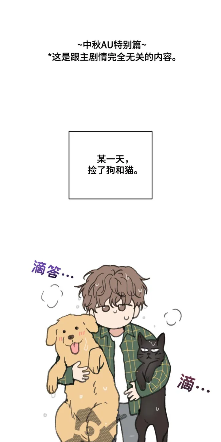 学院代表漫画漫画,第169章：【番外】小猫1图