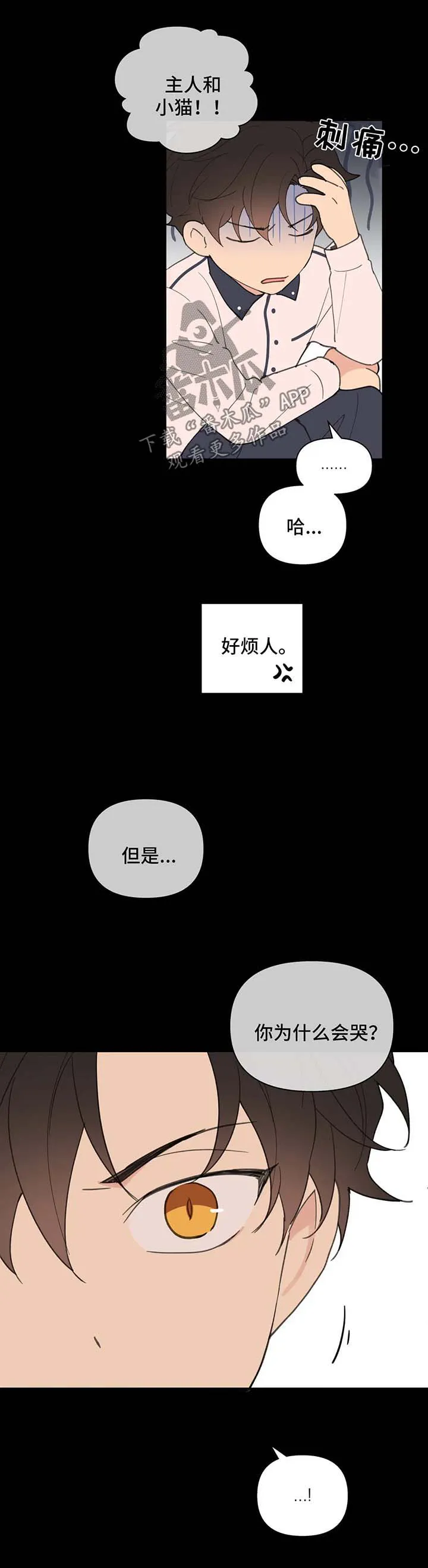 学院代表漫画漫画,第78章：喜欢漂亮的3图