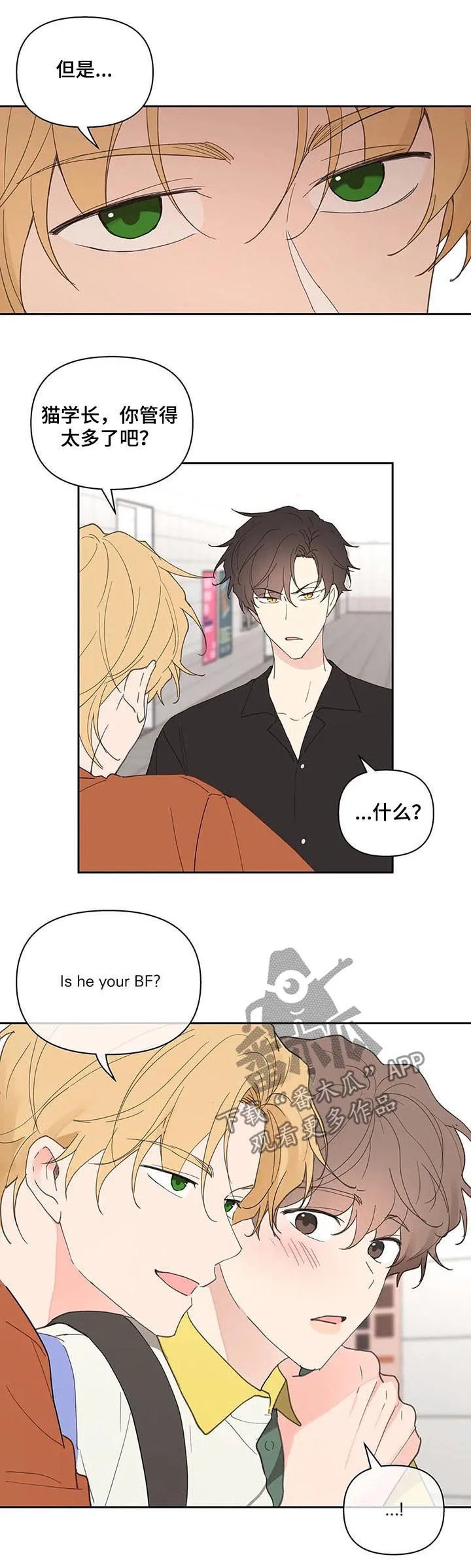 学院代表漫画漫画,第60章：同居11图