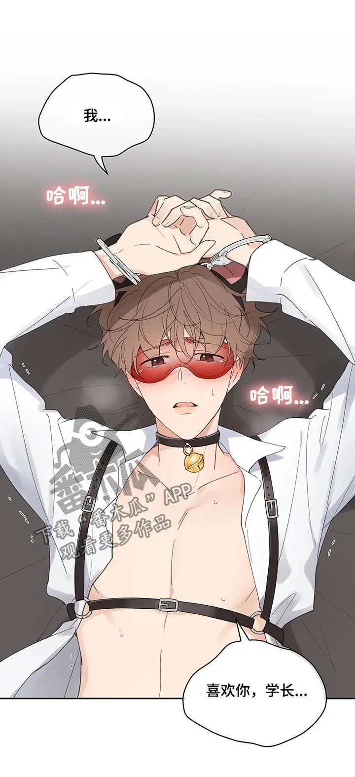 有一部漫画叫什么学院漫画,第65章：你需要的14图