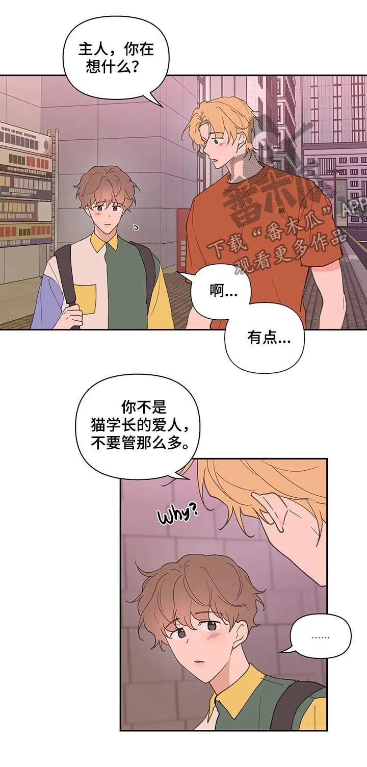 学院代表漫画漫画,第61章：我骗了你3图