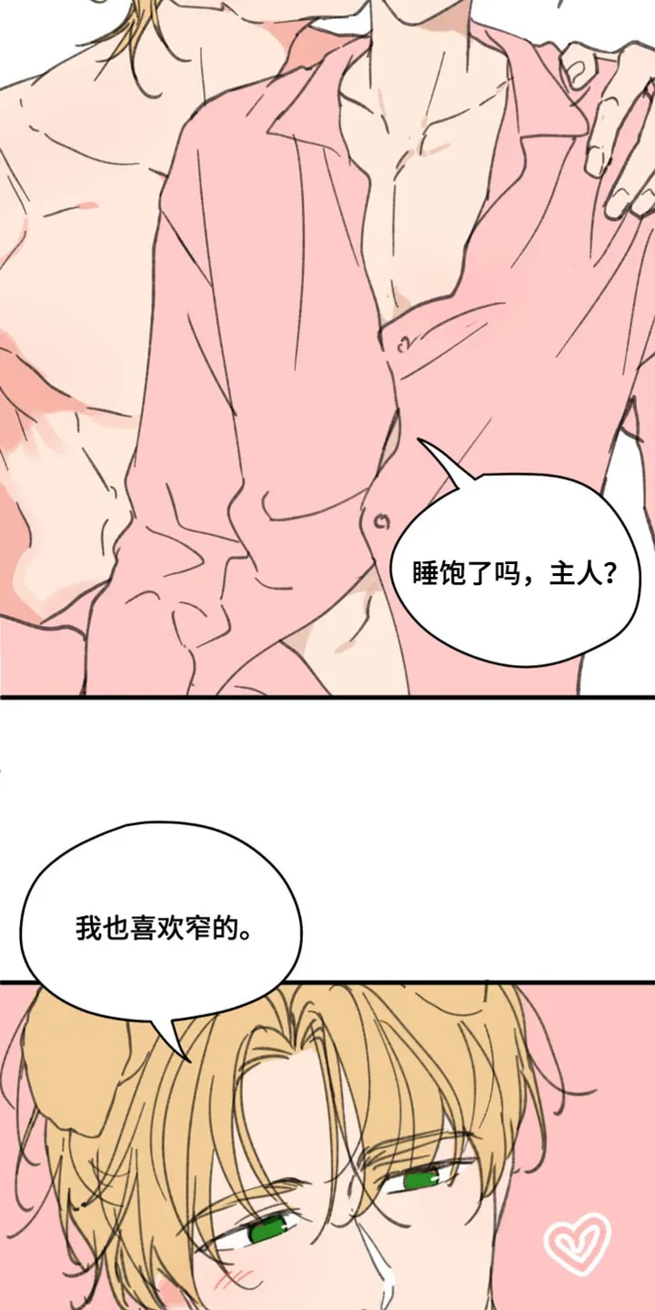 学院代表漫画漫画,第169章：【番外】小猫9图