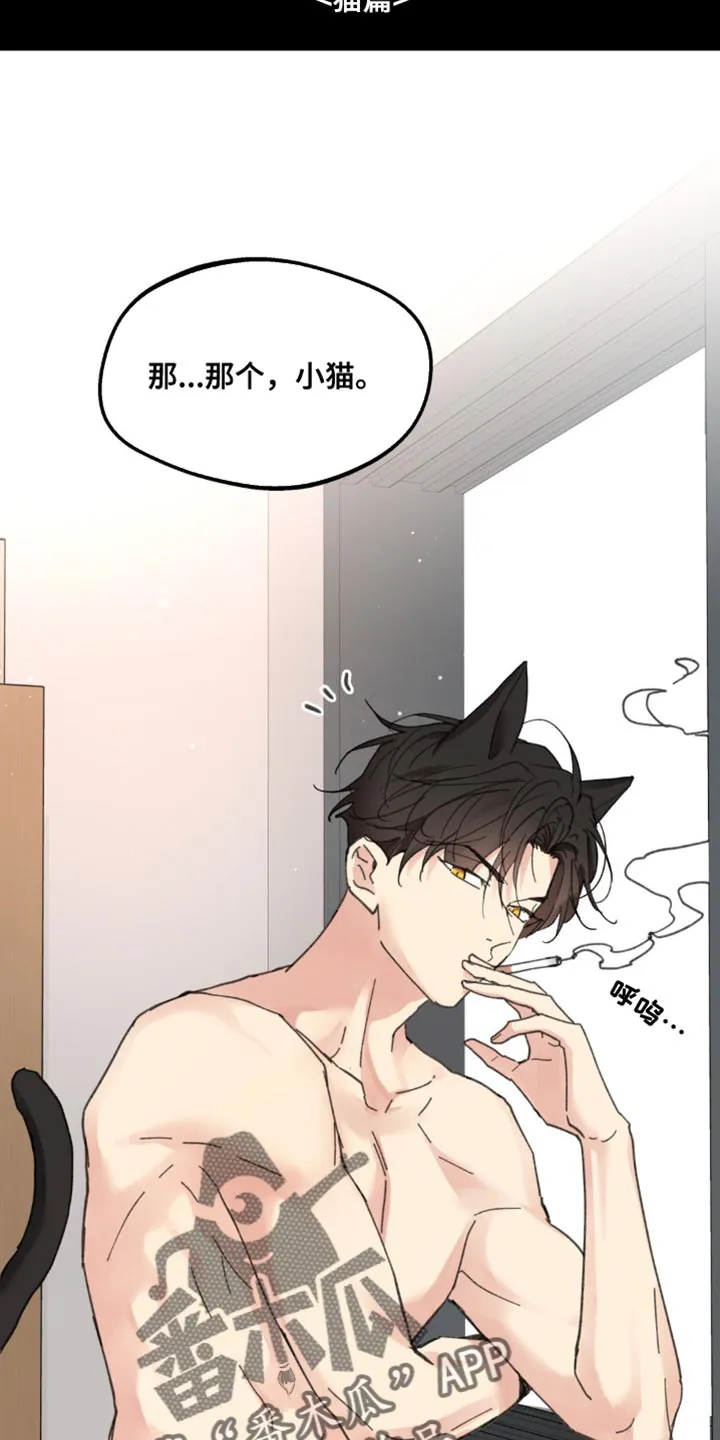 学院代表漫画漫画,第169章：【番外】小猫11图