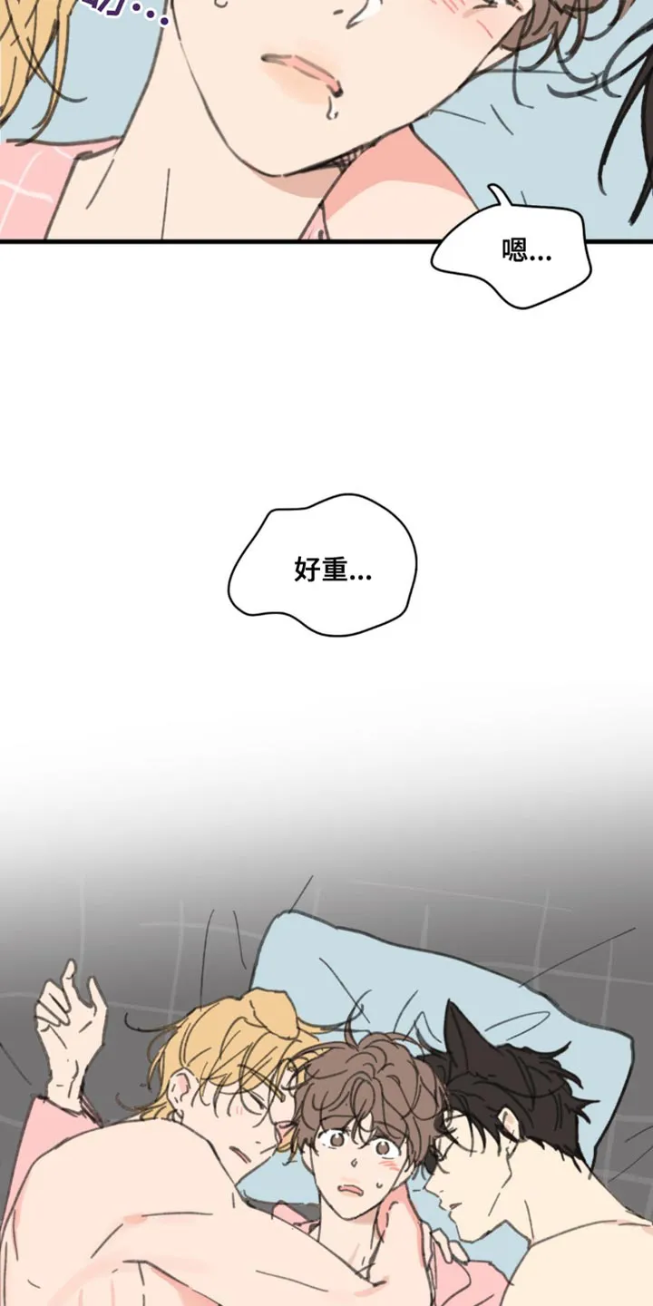 学院代表漫画漫画,第169章：【番外】小猫5图