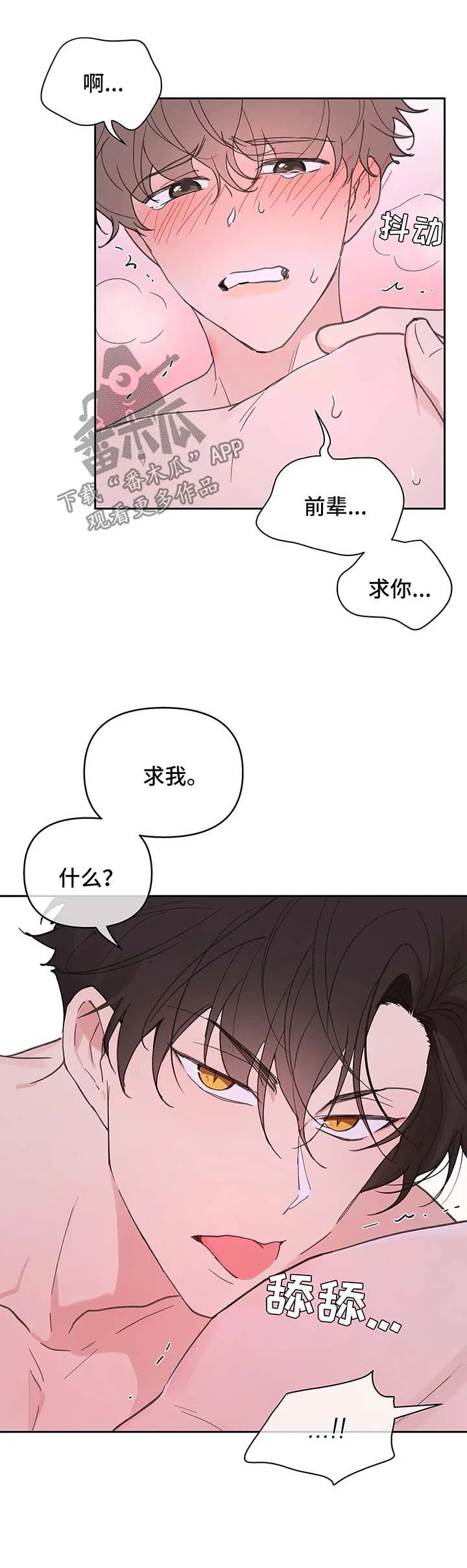 学院代表漫画漫画,第53章：昏迷3图
