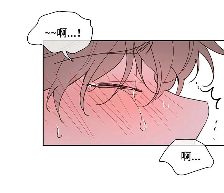 学院代表漫画漫画,第53章：昏迷14图