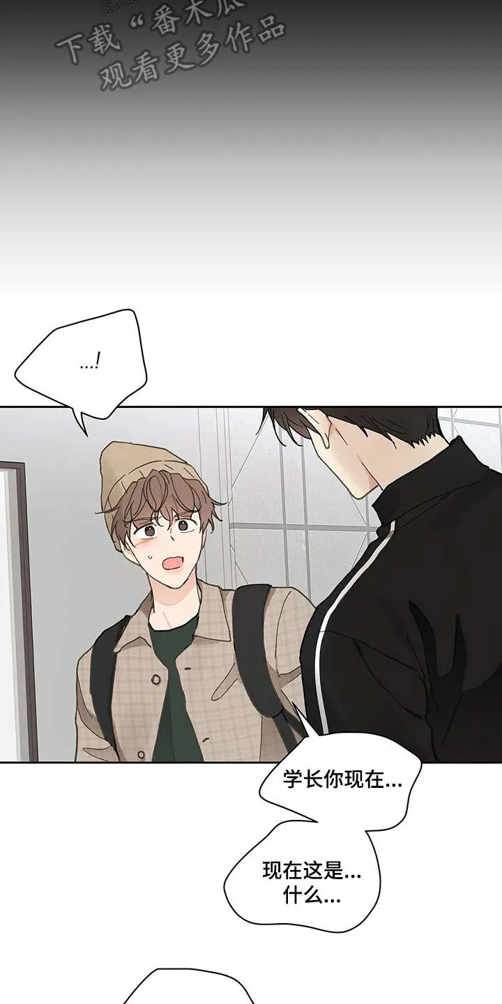 学院代表漫画漫画,第143章：【番外】所需要的15图