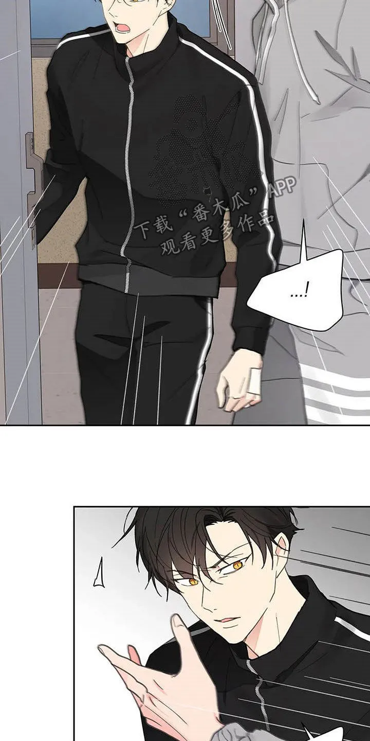 有一部漫画叫什么学院漫画,第139章：【番外】重拳13图