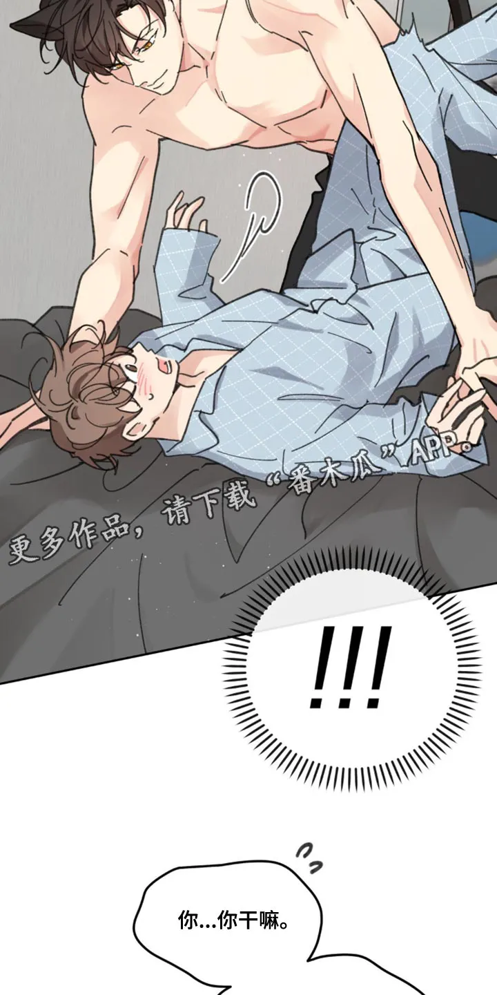 学院代表漫画漫画,第169章：【番外】小猫18图