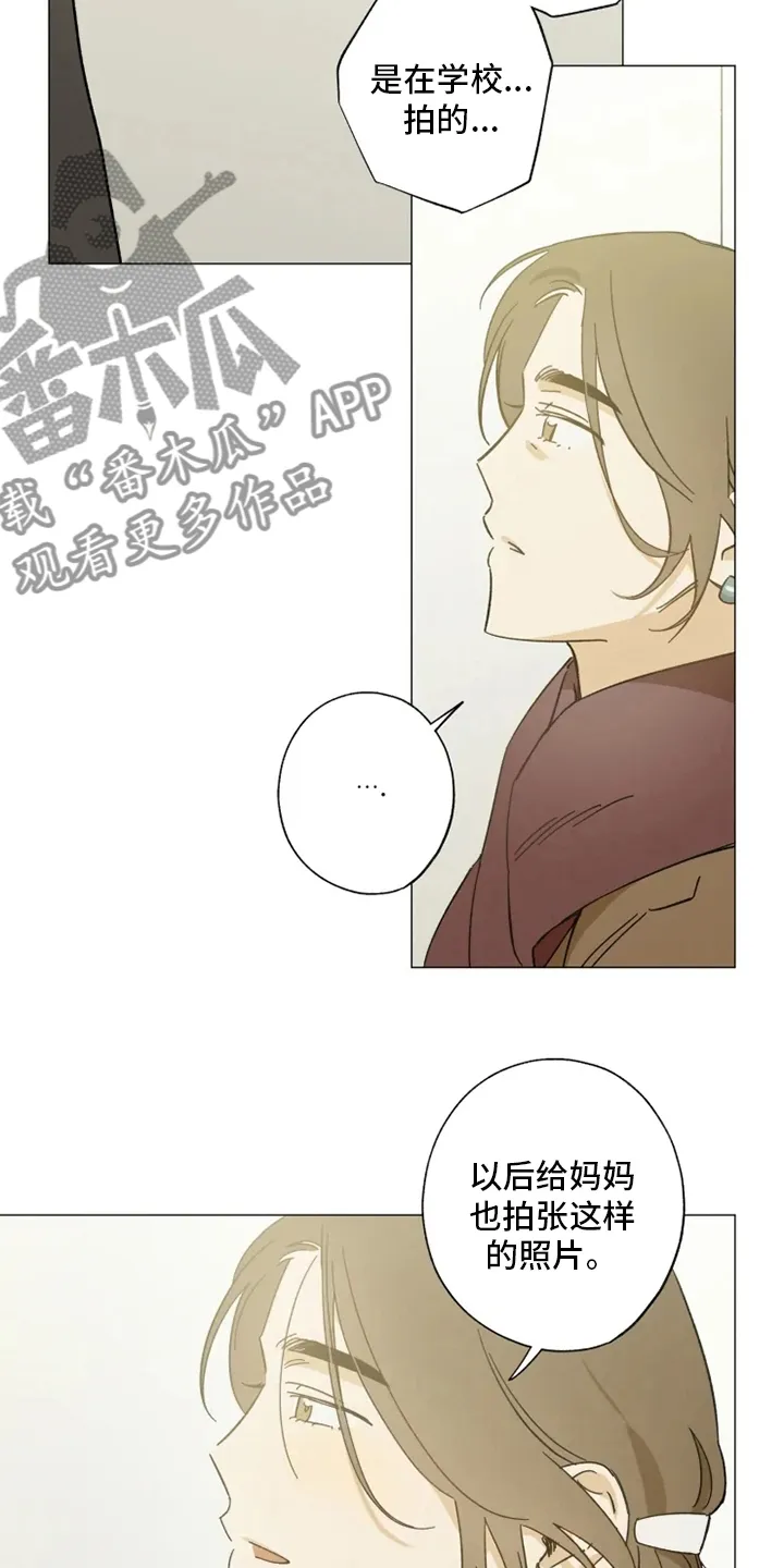 焦点视线漫画漫画,第100章：一起住6图