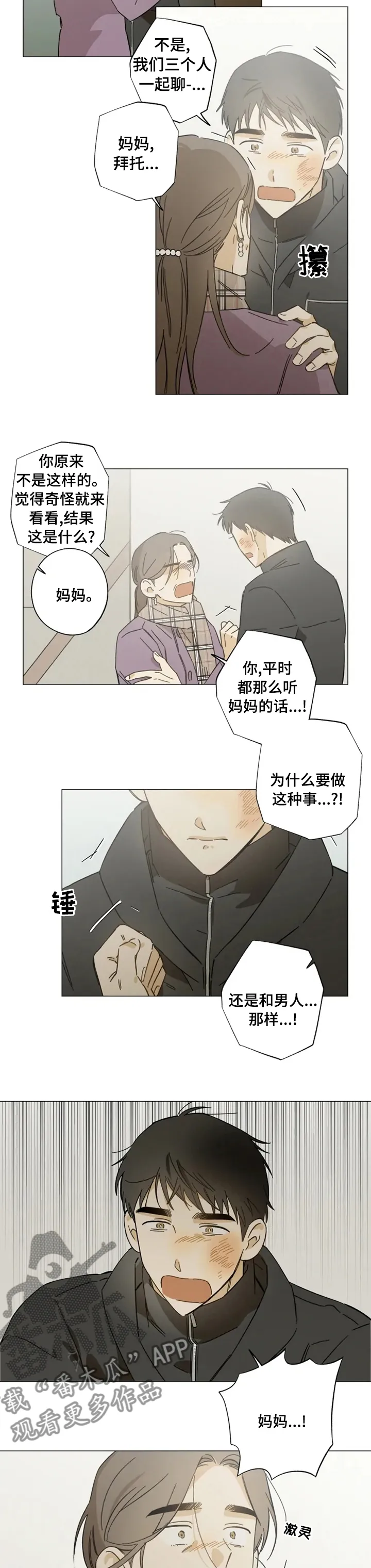 焦点视线漫画漫画,第85章：珍贵3图