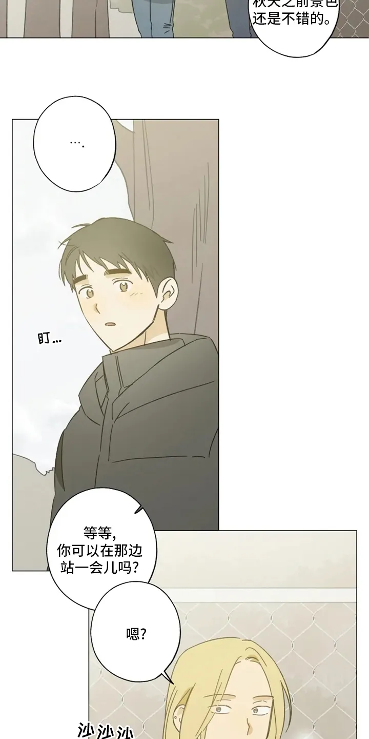 焦点视线漫画漫画,第103章：情侣戒2图