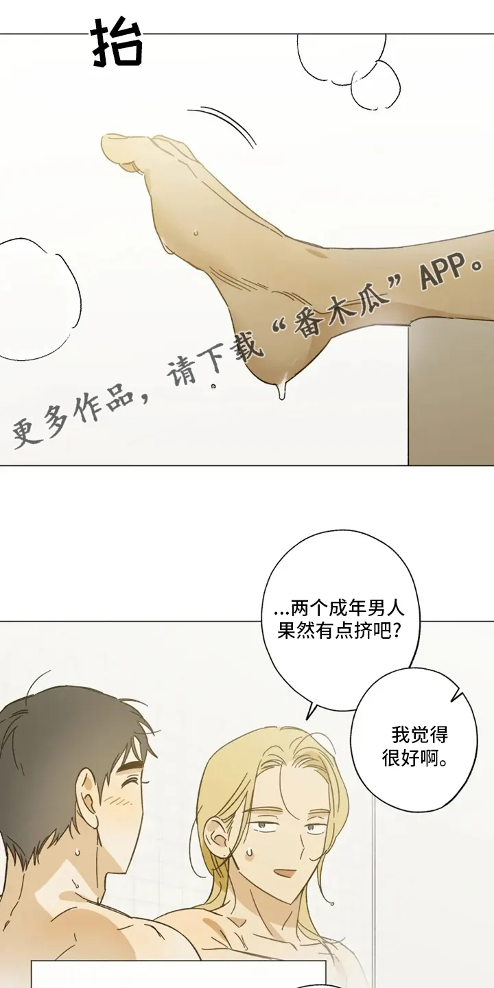 焦点视线漫画漫画,第104章：以后也请多多关照1图