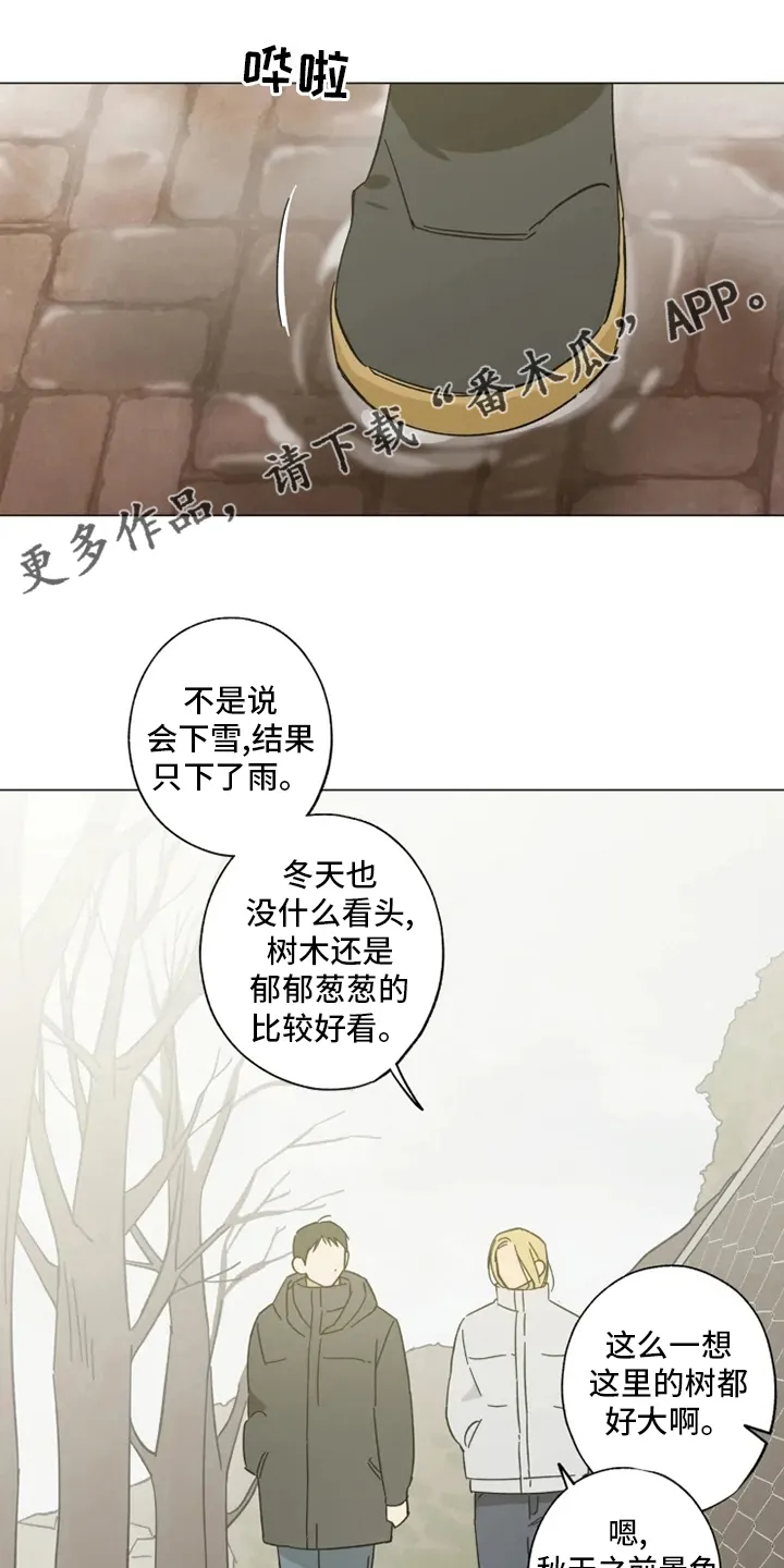 焦点视线漫画漫画,第103章：情侣戒1图