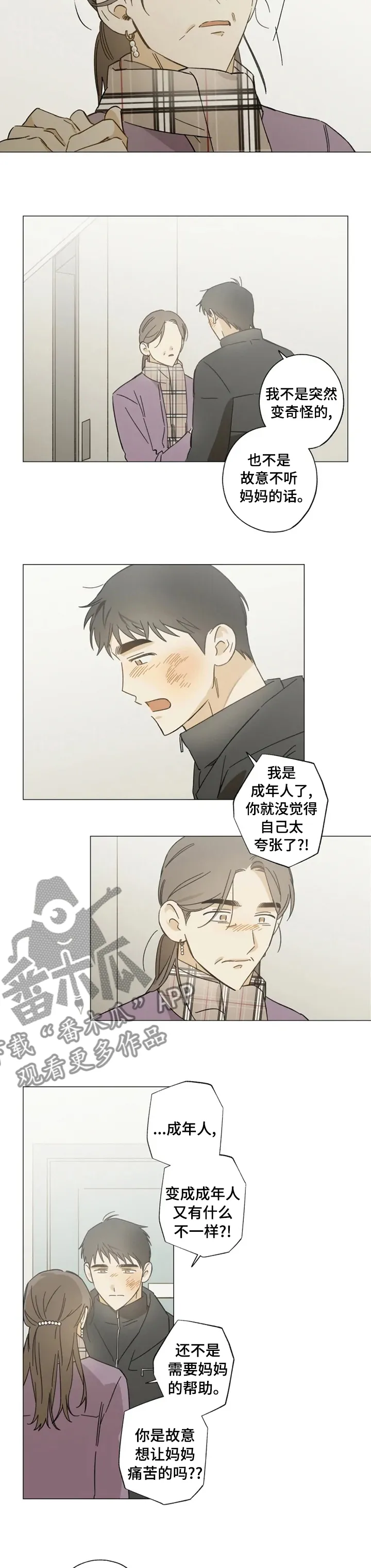 焦点视线漫画漫画,第85章：珍贵4图