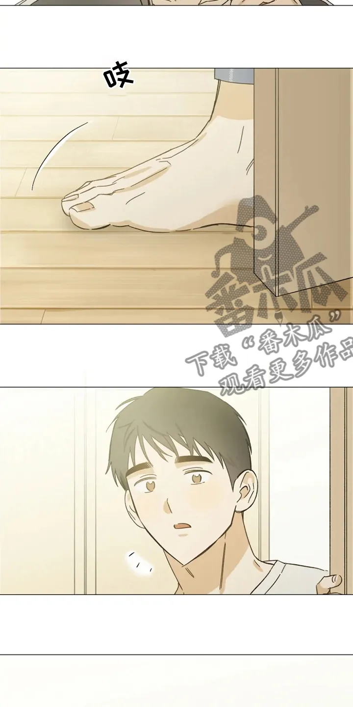 焦点视线漫画漫画,第100章：一起住8图