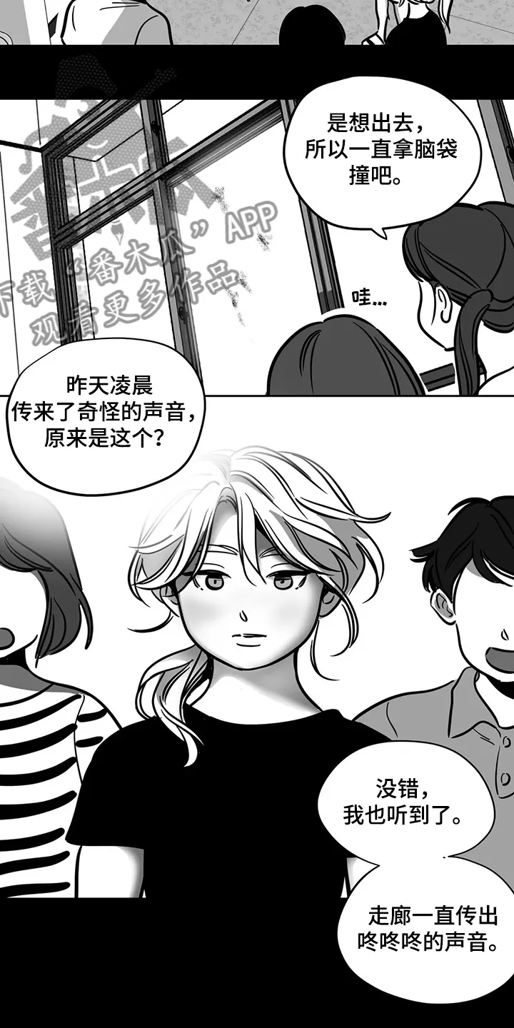 鸠占鹊巢之后 小说漫画,第65章：【第二季】撞死的鸟2图