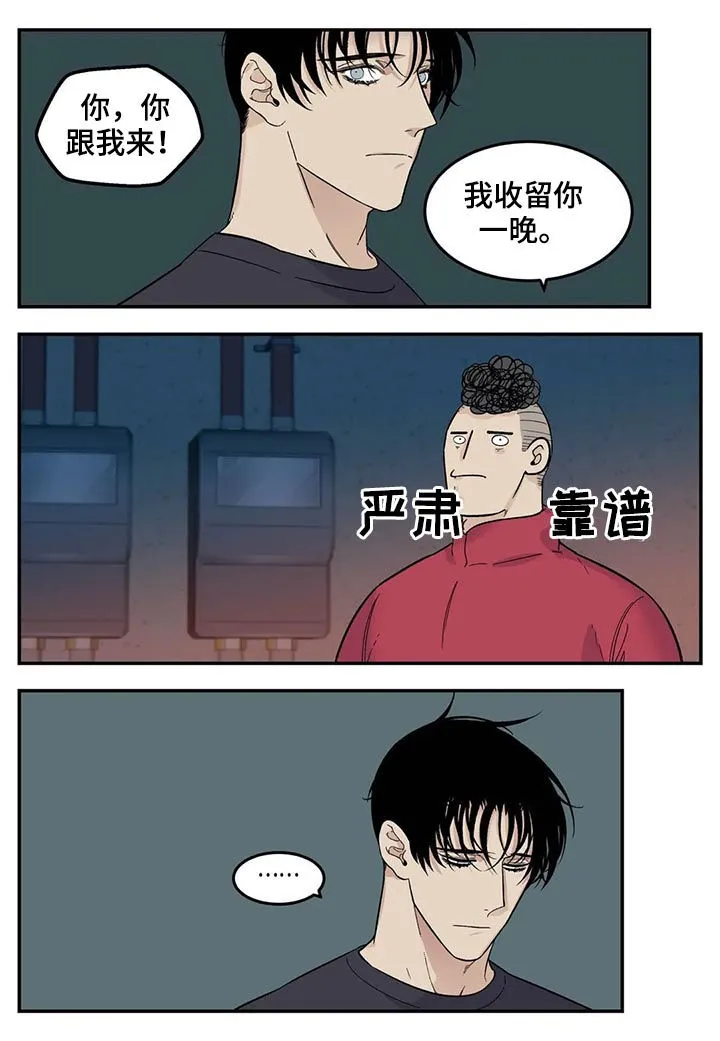 老大南打火机漫画,第65章：新产品3图