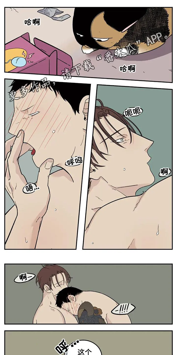 打火机漫画高颜值漫画,第83章：太自恋1图
