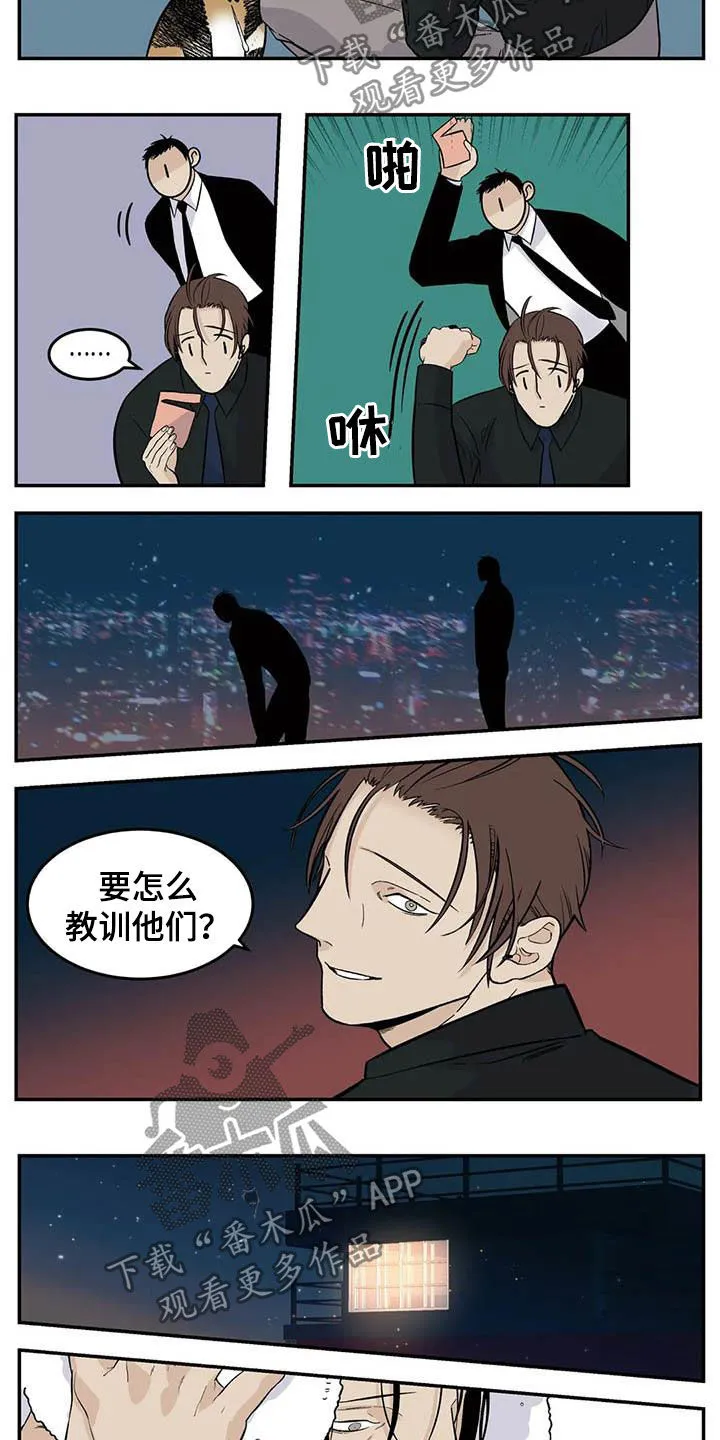 打火机漫画高颜值漫画,第81章：流浪动物6图