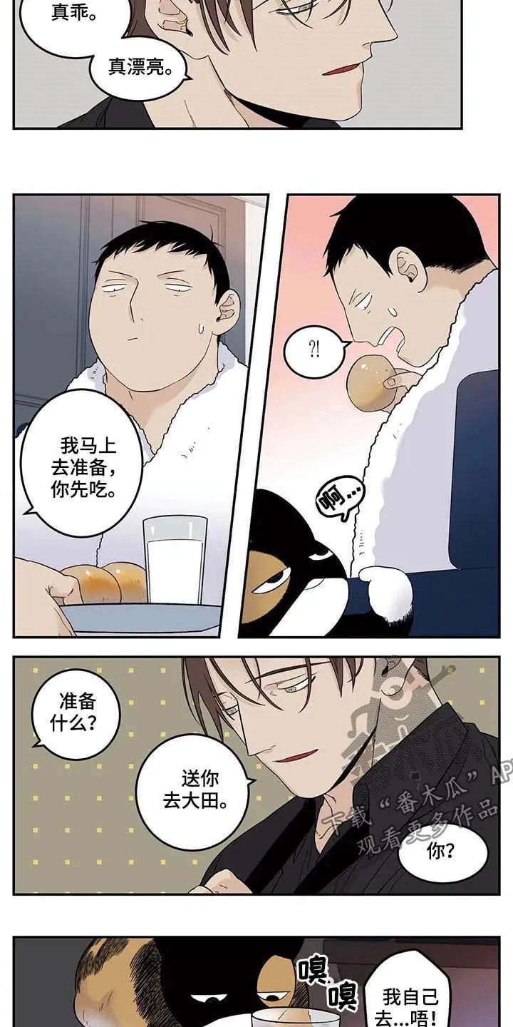 大哥的打火机漫画漫画,第73章：粗鲁3图