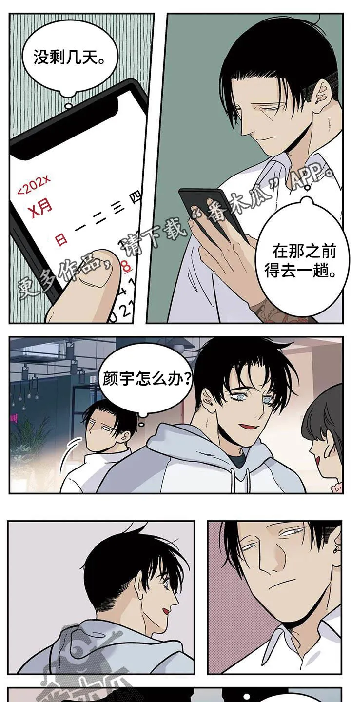 打火机漫画高颜值漫画,第81章：流浪动物1图