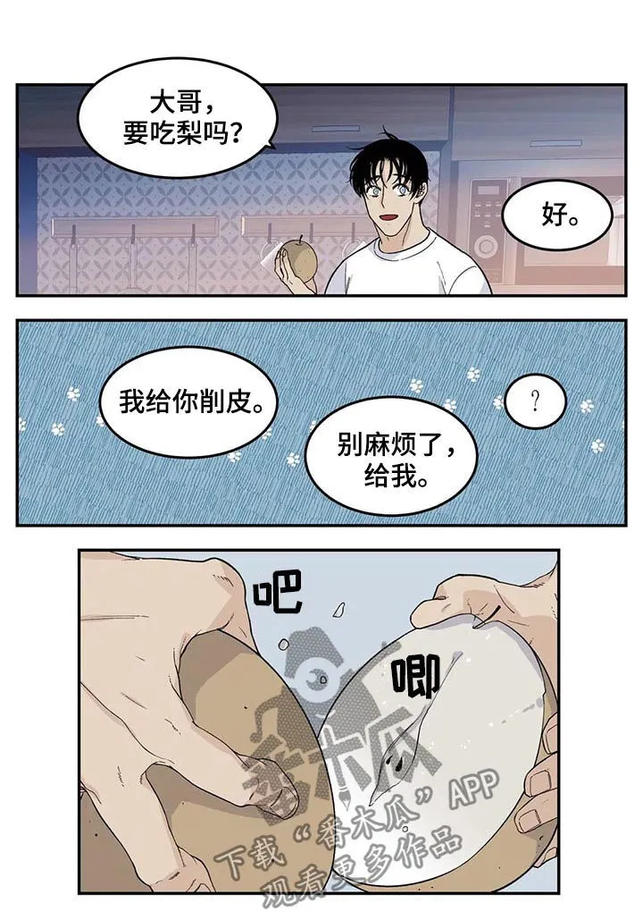 归还打火机的漫画漫画,第55章：新人13图