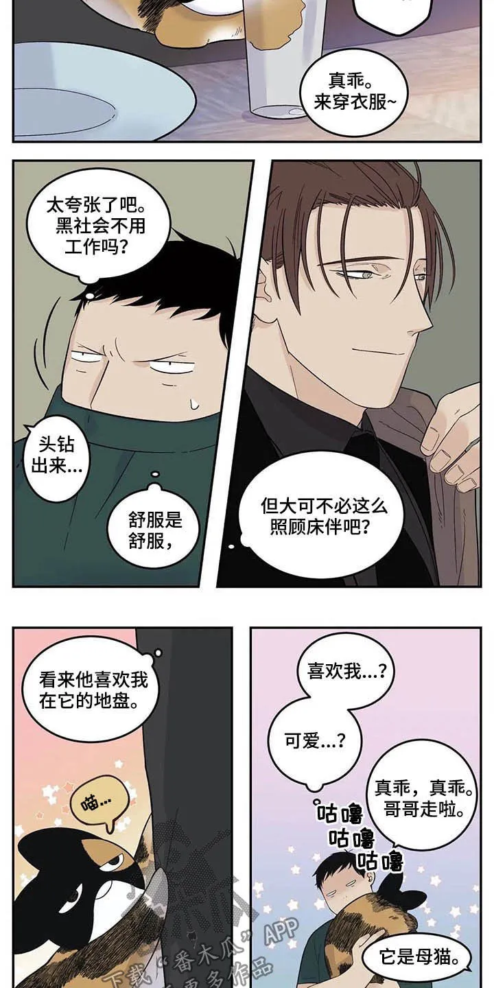大哥的打火机漫画漫画,第73章：粗鲁4图