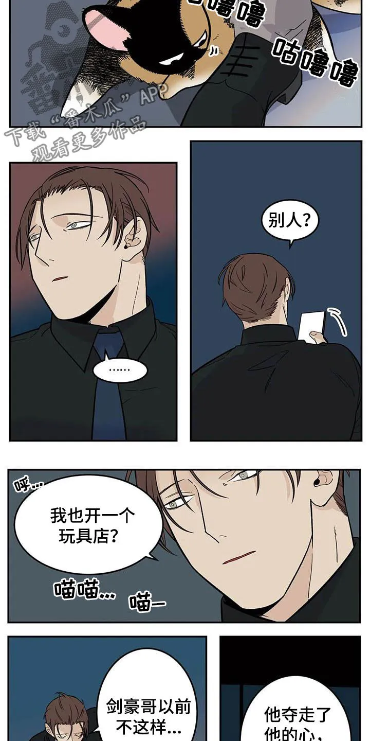 打火机漫画高颜值漫画,第81章：流浪动物4图