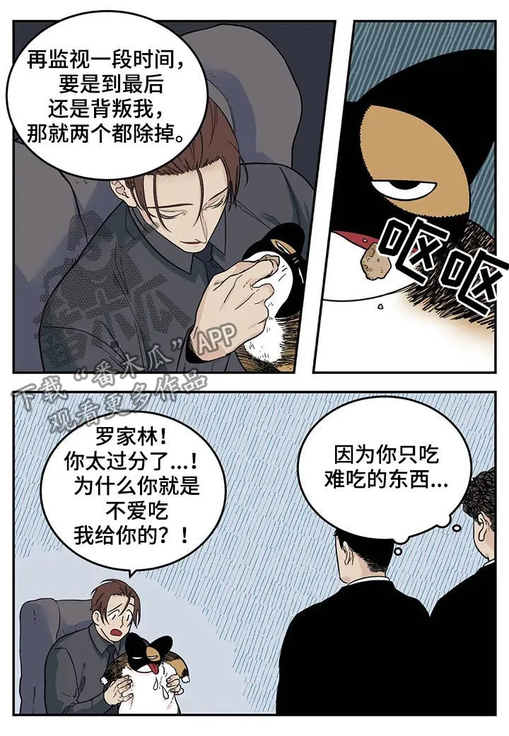 老大南打火机漫画,第43章：为我考虑6图