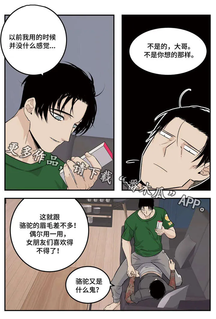 大哥的打火机漫画漫画,第13章：我愿意1图