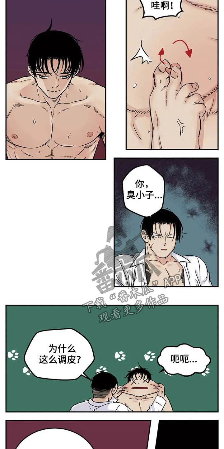 老大的打火机漫画漫画,第79章：喜欢你6图