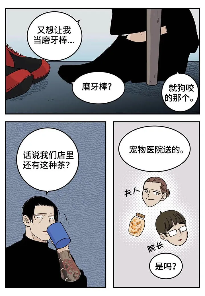 老大的打火机漫画漫画,第51章：狗链4图