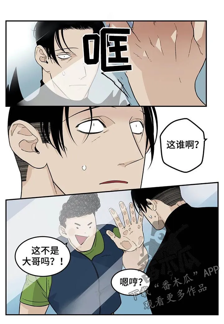 打火机漫画高颜值漫画,第60章：张德培10图