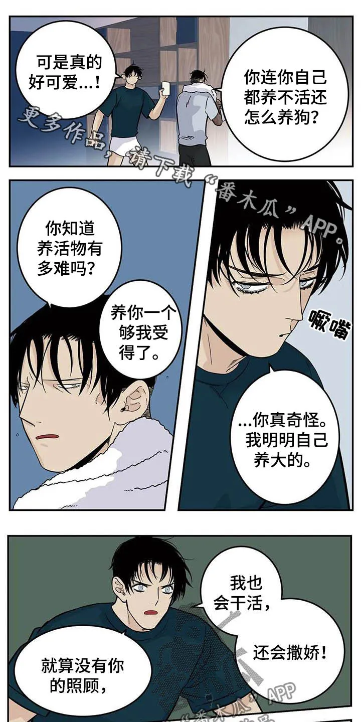归还打火机的漫画漫画,第82章：一天一次亲亲1图