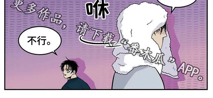 打火机漫画高颜值漫画,第81章：流浪动物8图