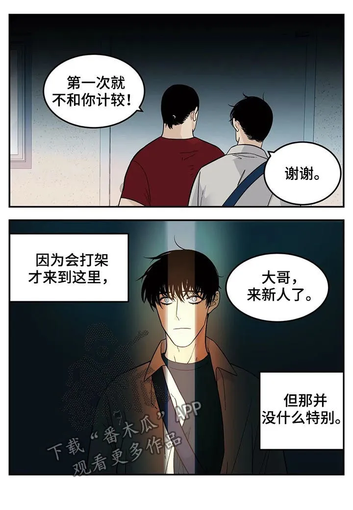 归还打火机的漫画漫画,第55章：新人12图