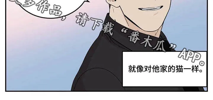 老大南打火机漫画,第74章：像对猫一样8图