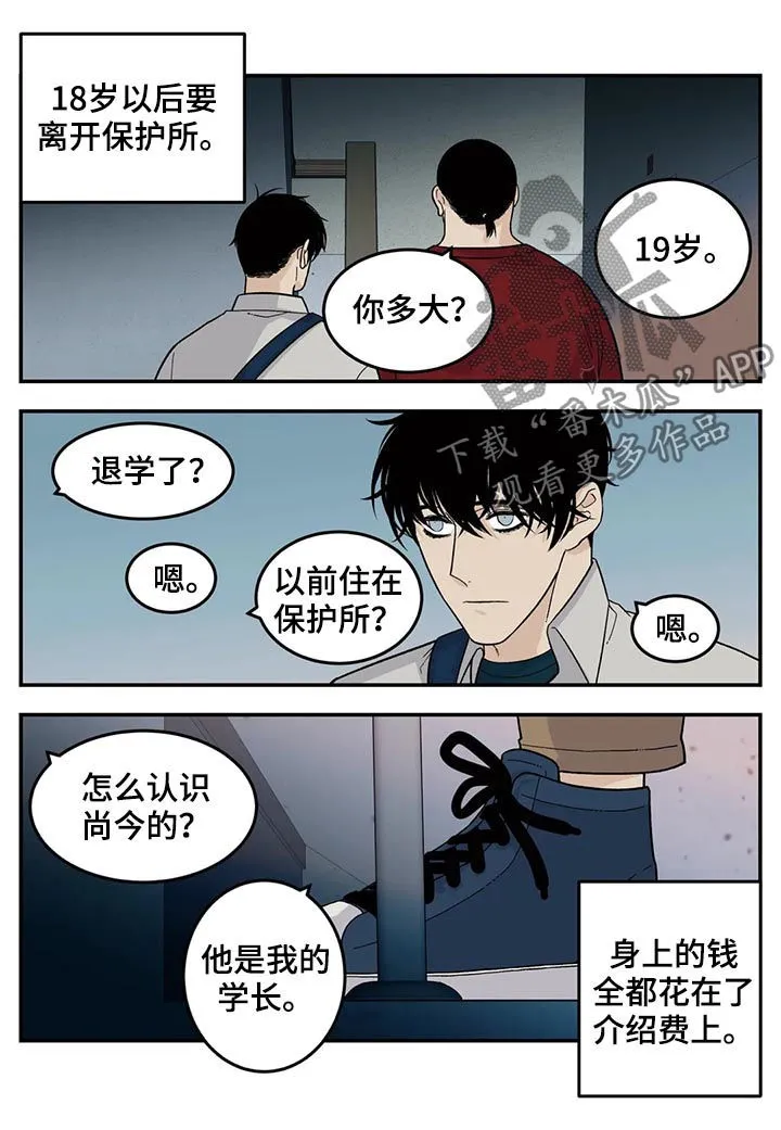 归还打火机的漫画漫画,第55章：新人8图