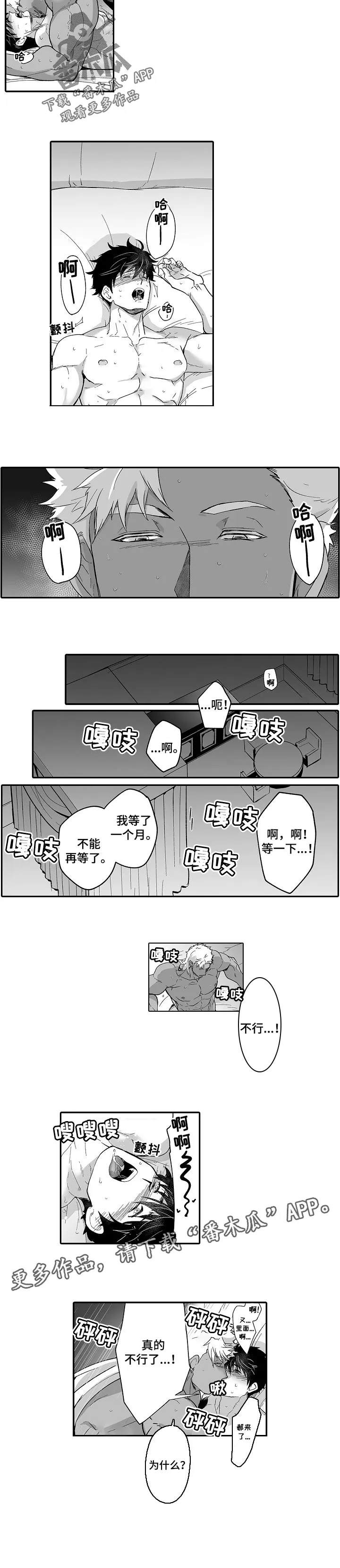 巨型新娘漫画实体书购买漫画,第52章：不能再等了5图