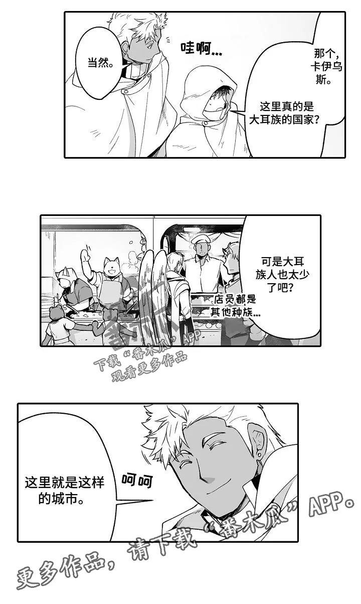 黑曜石的新娘漫画免费漫画,第55章：秘密调查11图