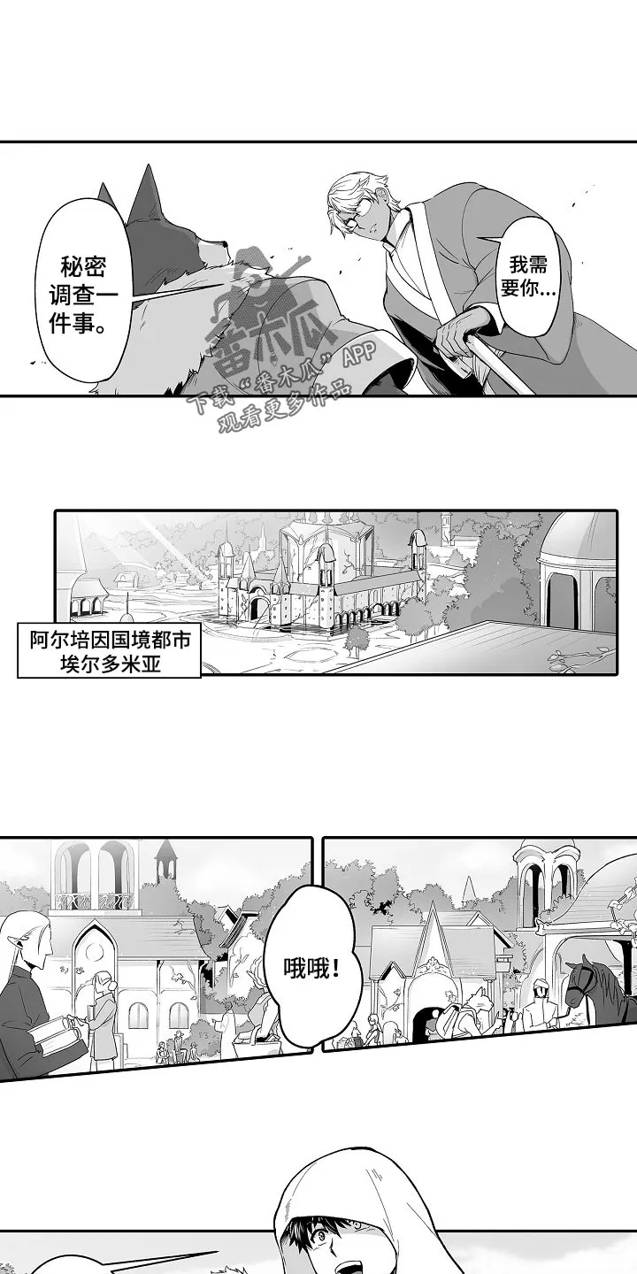 黑曜石的新娘漫画免费漫画,第55章：秘密调查5图