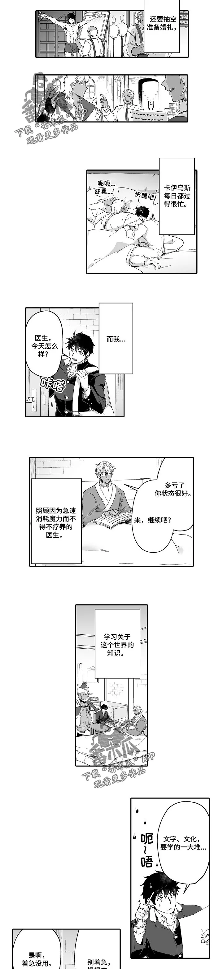 巨型新娘漫画漫画,第51章：充实的生活3图