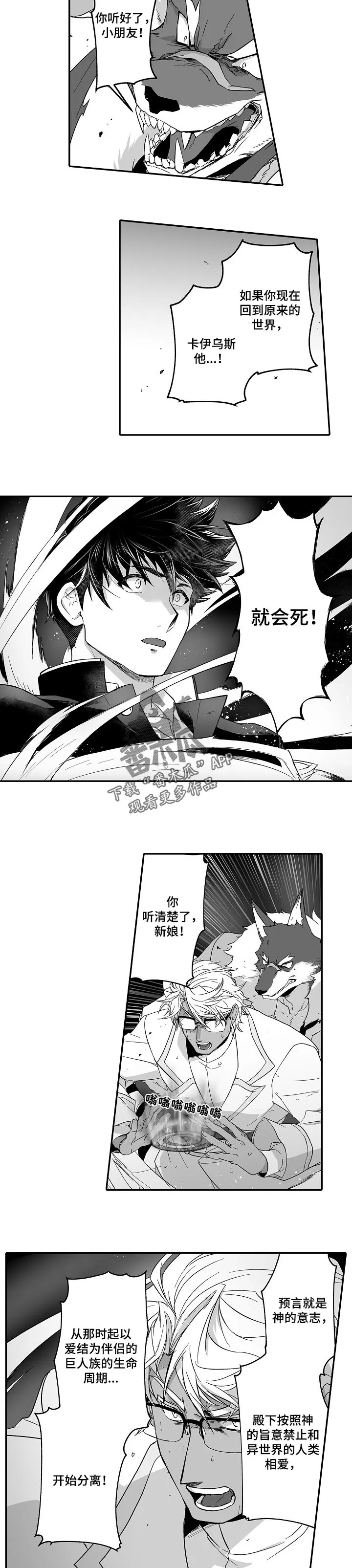 巨型新娘漫画免费观看漫画,第44章：你比谁都清楚4图
