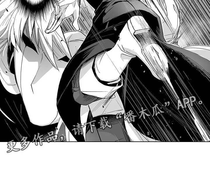 巨型新娘漫画漫画,第58章：奇怪的东西11图