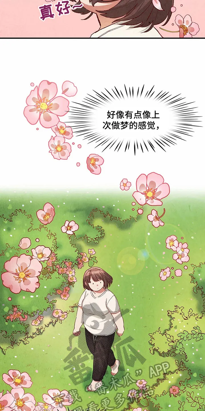 争宠精灵使漫画漫画,第34章：似梦非梦8图
